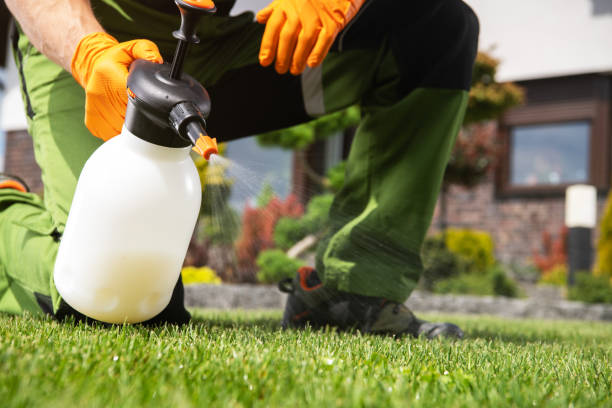 Best Pest Control Near Me in Spring Valley Lake, CA