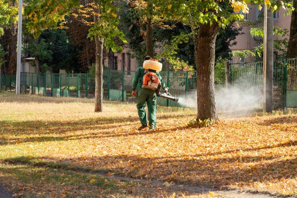 Bird Control in Spring Valley Lake, CA